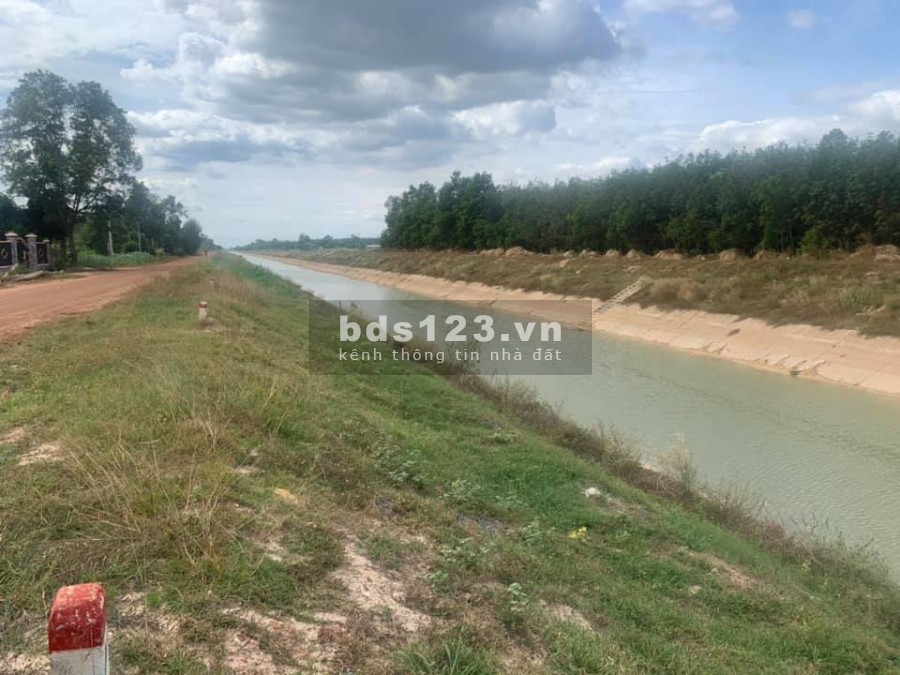 Đất sào 1000m2 giá 380 triệu thích hợp xây dựng nhà nuôi yến