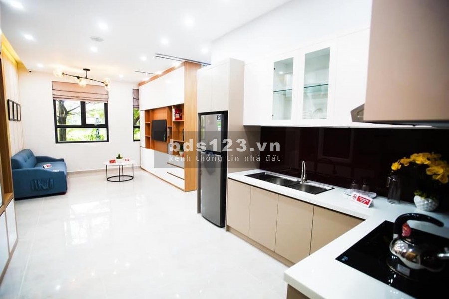 Cần bán căn hộ Sài Gòn Intela huyện Bình Chánh dt 55m2 2pn 2wc, tặng gói nội thất thông minh