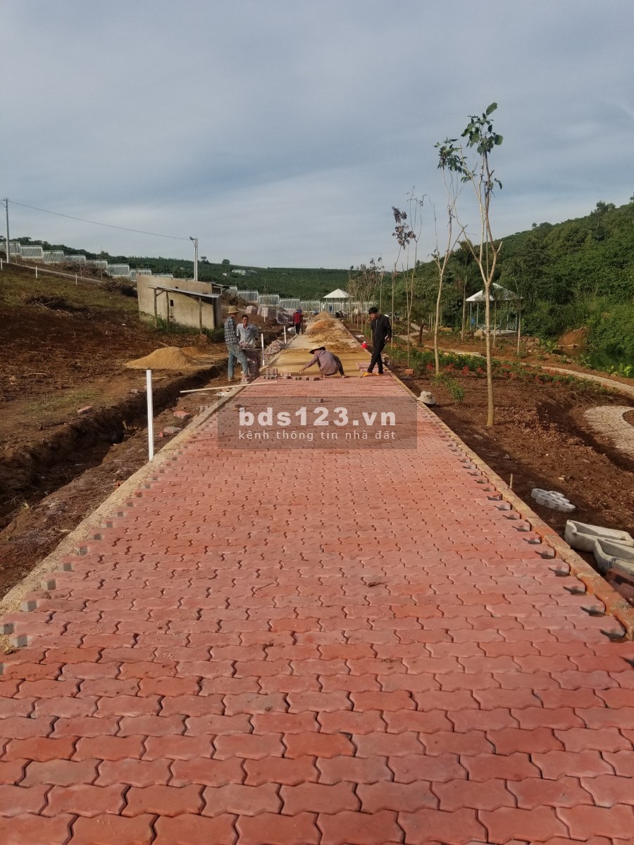 Đất Bảo Lộc 172m2 có 100m2 thổ cư giá chỉ 655tr/nền, Sổ đỏ liền tay