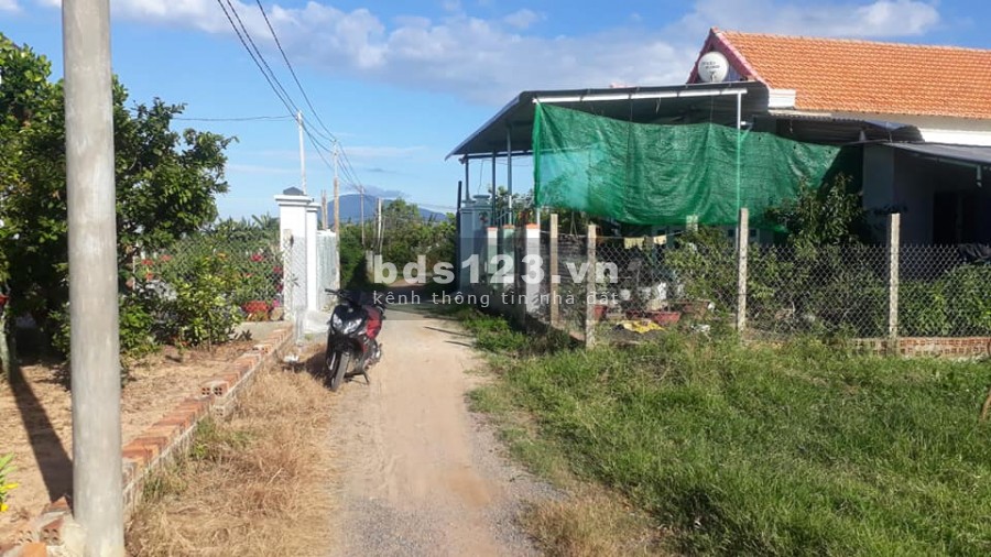 Bán lô đất Tân Quang Ninh Quang thị xã Ninh Hòa
