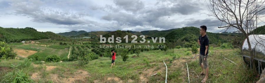 Cơ hội đầu tư sinh lời cần bán gấp 1,3Ha Đất trồng cây tại Đạ Kho, Đạ Tẻ Lâm Đồng