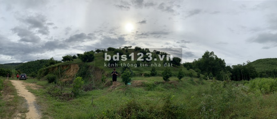 Cơ hội đầu tư sinh lời cần bán gấp 1,3Ha Đất trồng cây tại Đạ Kho, Đạ Tẻ Lâm Đồng