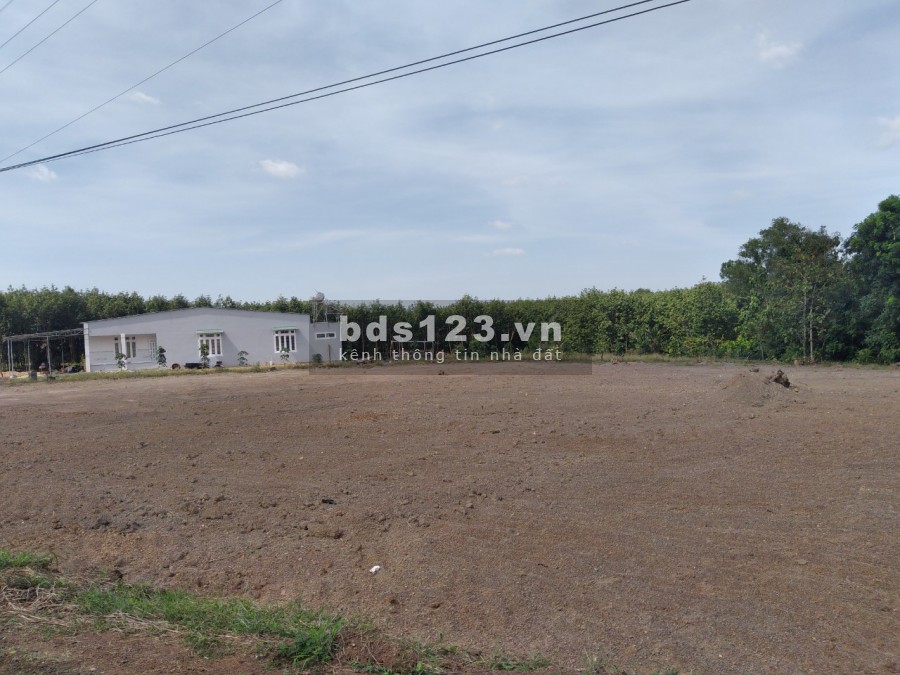 Bán đất có thổ cư sắn tại Tân Hưng, Bình phước