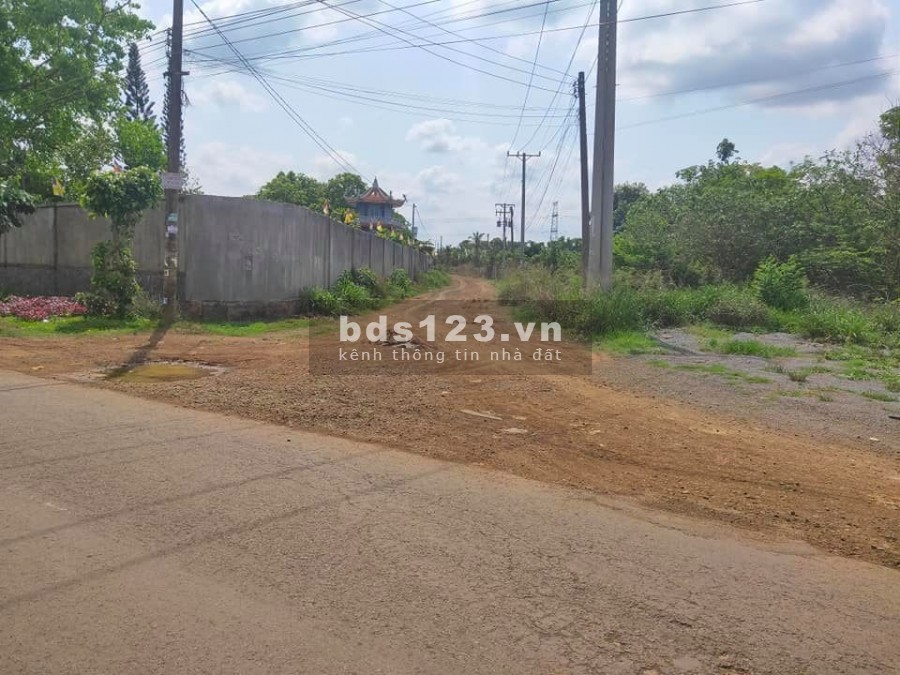 Đất sổ hồng riêng 2 bám 2 mặt đường giá siêu rẻ tại Trảng Bom.