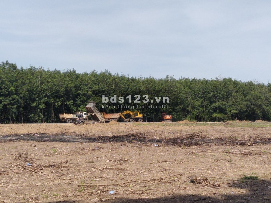 Bán đất có thổ cư sắn tại Tân Hưng, Bình phước