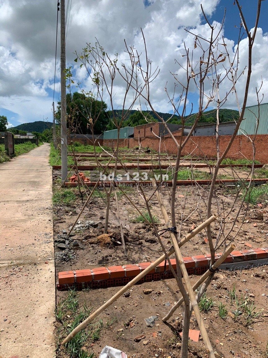 Bán đất thổ cư An Ngãi, Long Điền, BR-VT,DT 117m2, SHR, giá 1.168 Tỷ, LH: 091.333.0147