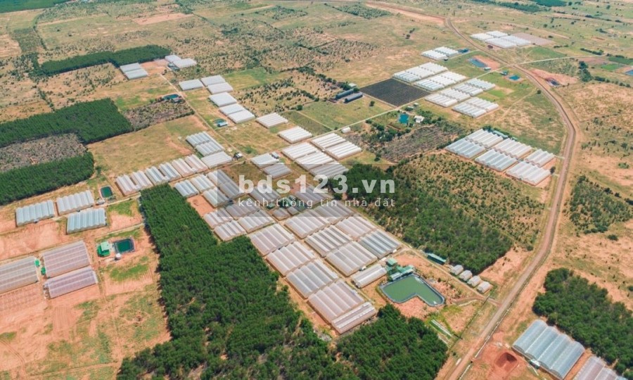 Sổ siêu đẹp và gần các tuyến đường lớn, sinh lời nhanh nhất khi đầu tư