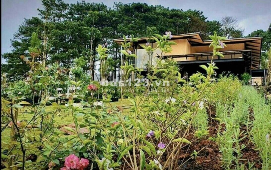 Đơn giản chỉ 20 triệu sở hữu ngay 700m2 farmstay, view sông Đại Nga
