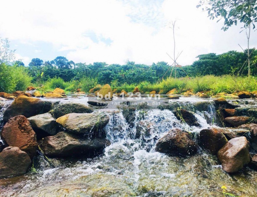 Đơn giản chỉ 20 triệu sở hữu ngay 700m2 farmstay, view sông Đại Nga