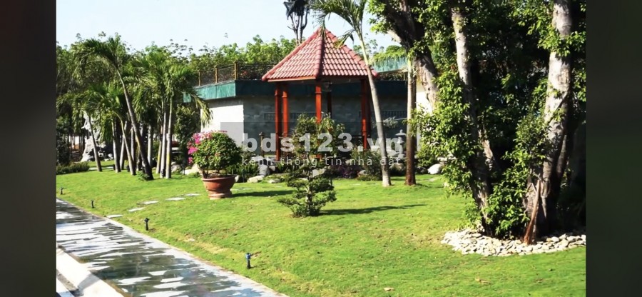 Gia đình tôi chuyển ra bắc cần bán gấp lô đất diện tích lớn giá rẻ mới mua năm trước