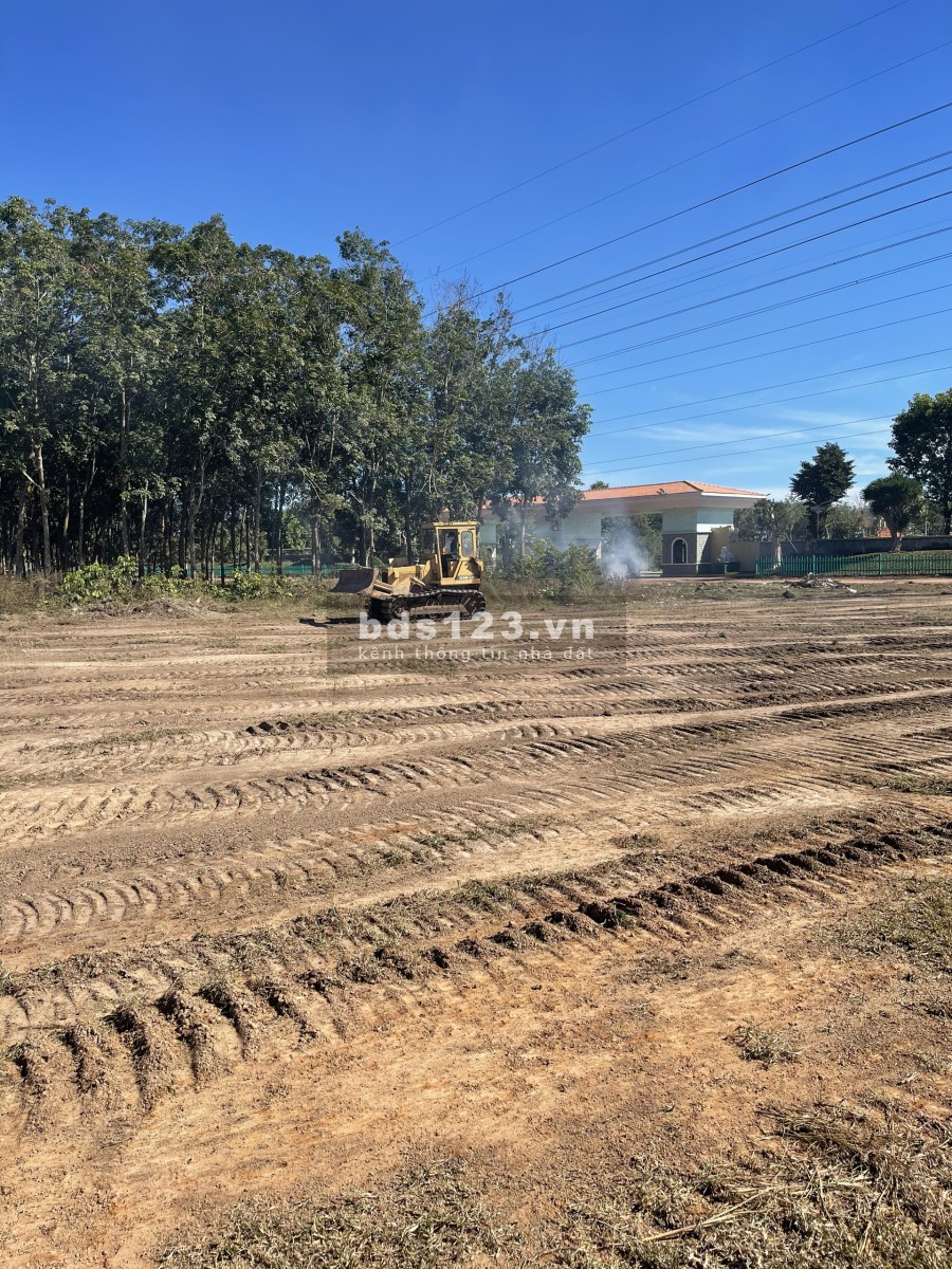 Gia đình tôi chuyển ra bắc cần bán gấp lô đất diện tích lớn giá rẻ mới mua năm trước