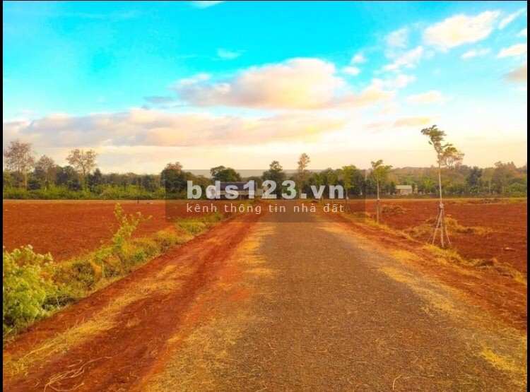 ĐẤT NỀN THỔ CƯ RẺ NHẤT KHU VỰC TÂY NGUYÊN, KỀ KCN NAM PLEIKU 200 HA, CHỈ 1,5 TRIỆU/M2