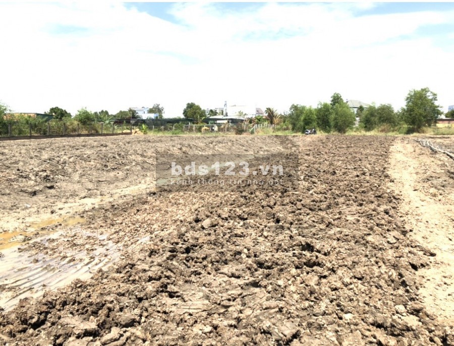 Cơ hội vàng để sở hữu 2024m² đất Bình Chánh giá 6 tỷ