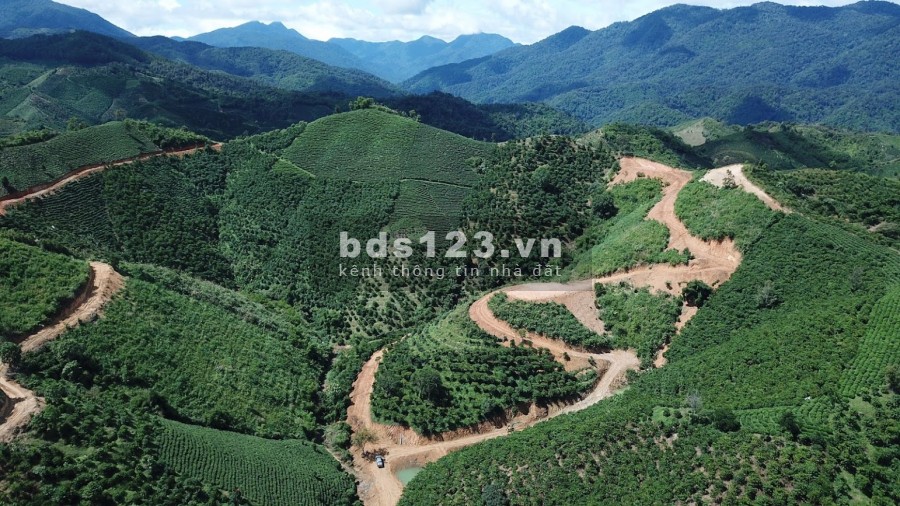 Cần bán 18000m2 đất có hồ đầu tư sinh lời tốt