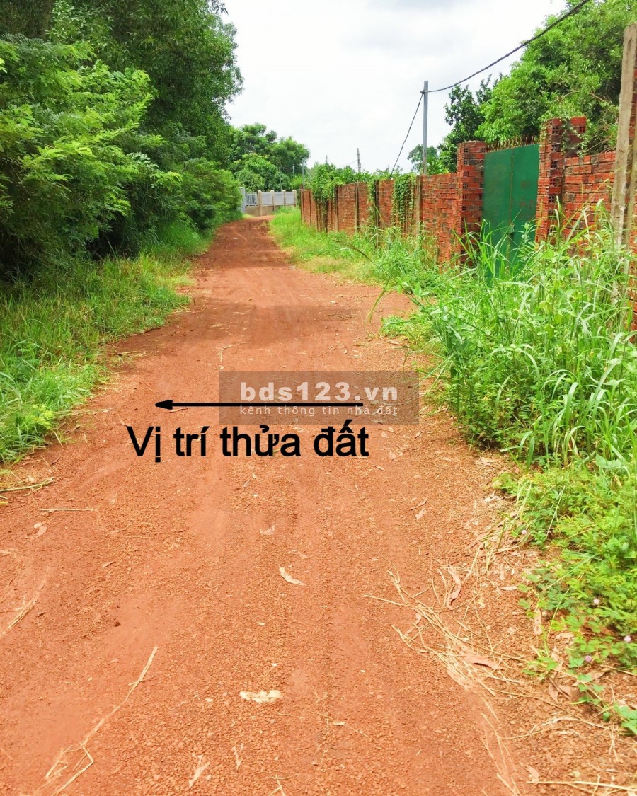 Bán 1 sào đất có sổ hồng riêng, gần Quốc lộ 1A, giá 850 triệu