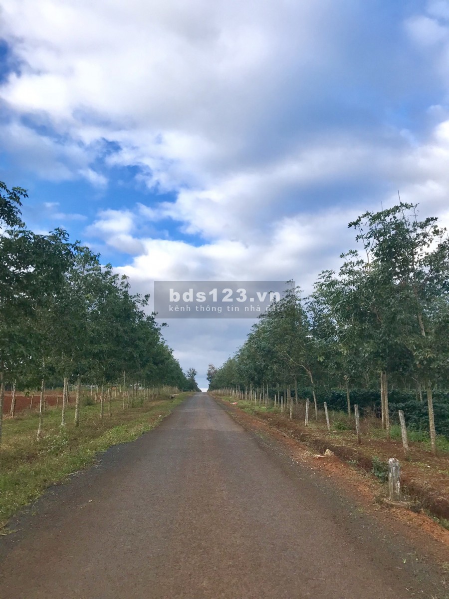 Cơ Hội Đầu Tư Sinh Lời Dịp Cuối Năm