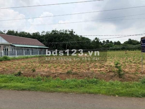 Đất 315 triệu mặt tiền đường nhà thờ Thuận Phú, Đồng Phú có 2 lô 450m2 và 1050m2