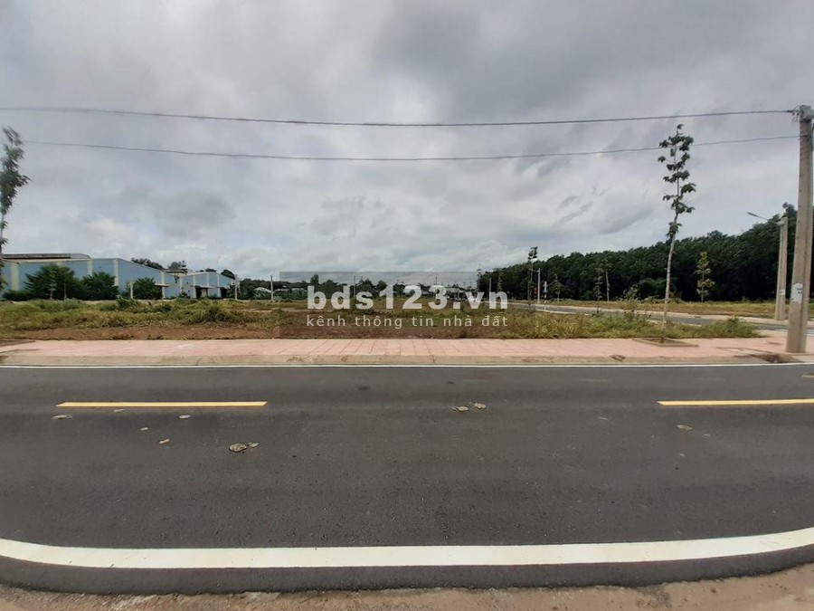Còn mỗi lô đất ba mẹ để do nợ phải bán lỗ 1000m2 giá 310tr, sổ hồng riêng thổ cư 300m2