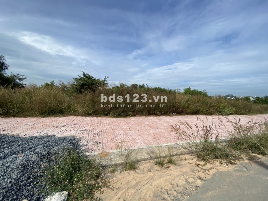 Mua đất nền Dự án LAVENDER CITY tháng 12/2020