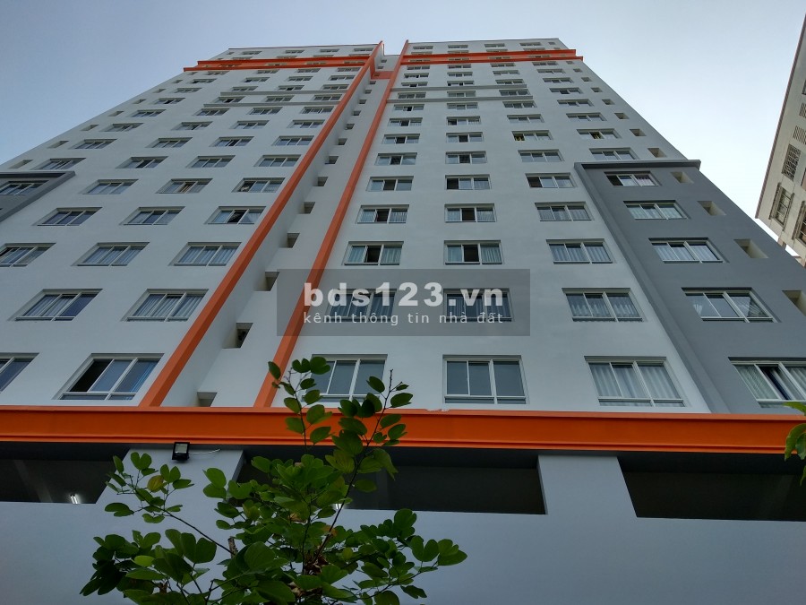 Cho thuê chung cư B1 Bông Sao 2 phòng ngủ, nhà trống