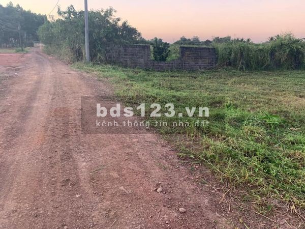 Đất biển Cần Giờ, Lương Văn Nho, Cần Thạnh sổ 230m2 có 80m thổ cư, 980tr