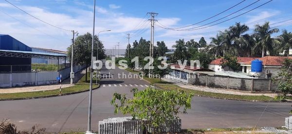Đất biển Cần Giờ, Lương Văn Nho, Cần Thạnh sổ 230m2 có 80m thổ cư, 980tr