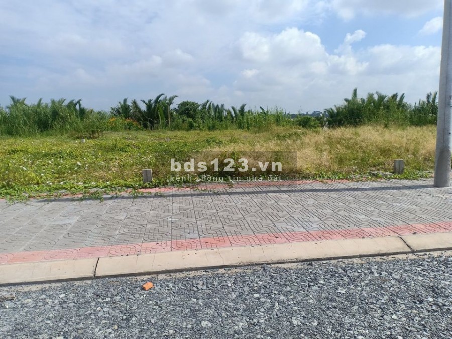 Đầu tư đất cuối năm sinh lợi nhuận