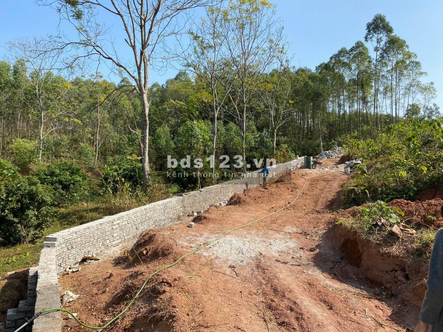 CHÍNH CHỦ BÁN ĐẤT YÊN THẾ BẮC GIANG