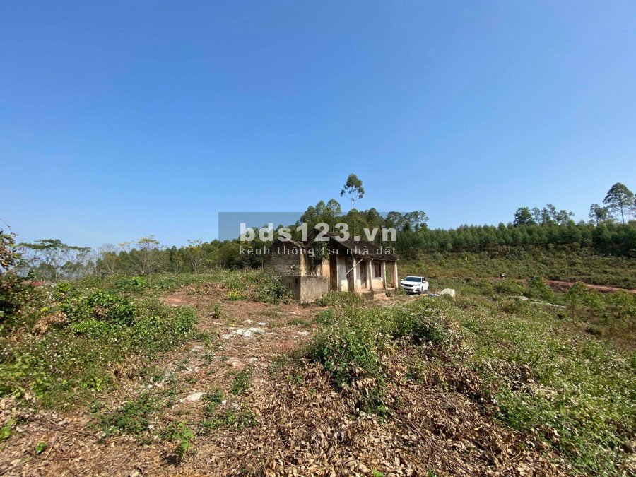 CHÍNH CHỦ BÁN ĐẤT YÊN THẾ BẮC GIANG