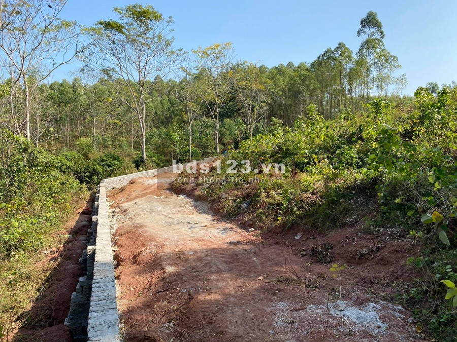 CHÍNH CHỦ BÁN ĐẤT YÊN THẾ BẮC GIANG