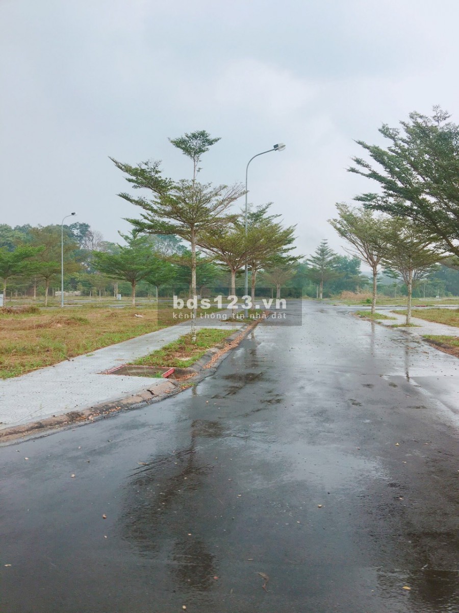 Bán lô đất đường An Phú Đông 12, quận 12. Gần Phà An Phú Đông. SHR, Giá 2.5 ty/ 90m2. XDTD