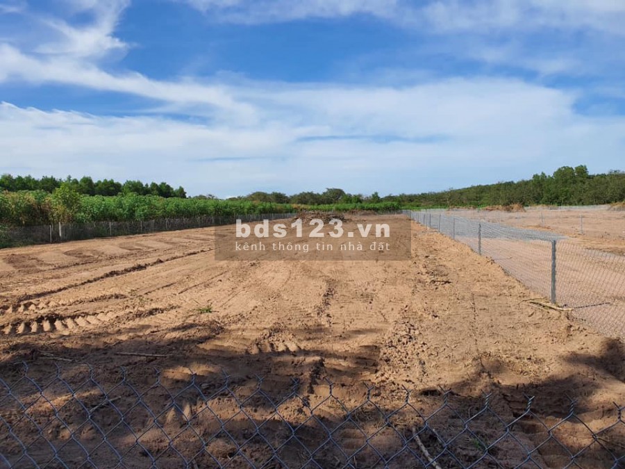 1000m2 giá 520 triệu không bớt