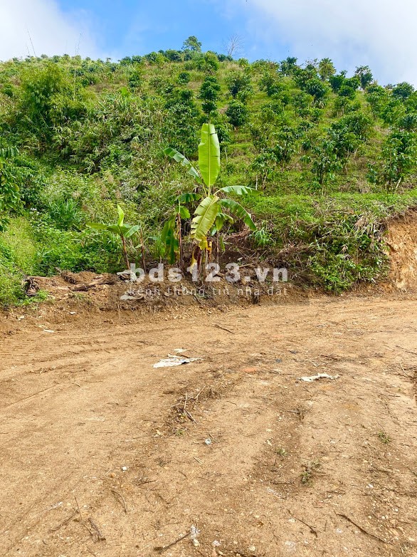 Cần bán đất sào nghỉ dưỡng Bảo Lộc
