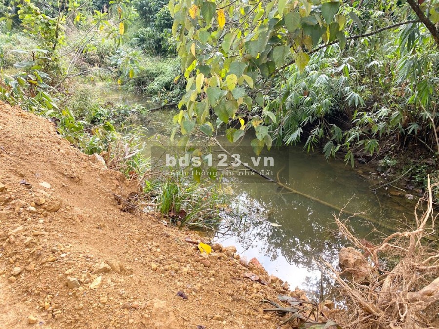 Cần bán đất sào nghỉ dưỡng Bảo Lộc