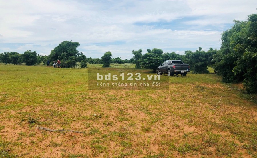 Cần bán gấp lô đất trồng cây lâu năm chỉ 363 triệu, sổ đỏ sẵn, sang tên ngay tại TPHCM