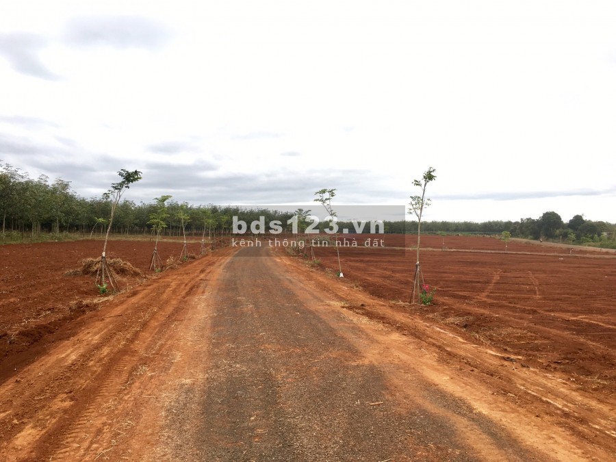 Đầu Tư Mang Lợi Nhuận Dịp Cuối Năm