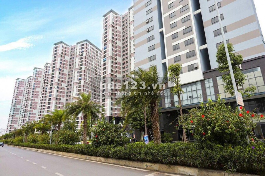KHAI XUÂN ĐẦU NĂM TẶNG QUÀ LÊN TỚI 45tr, NHẬN NHÀ Ở NGAY TÂN GIA ĐÓN TẾT