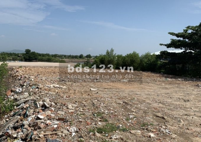 Bán gấp 1,3ha đất thổ cư sổ đỏ Bãi Trước 10tr/m2: