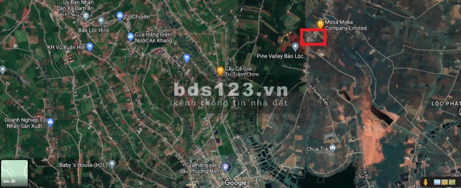 MT Lý Thường Kiệt P. Lộc Phát Tp. Bảo Lộc Lâm Đồng.