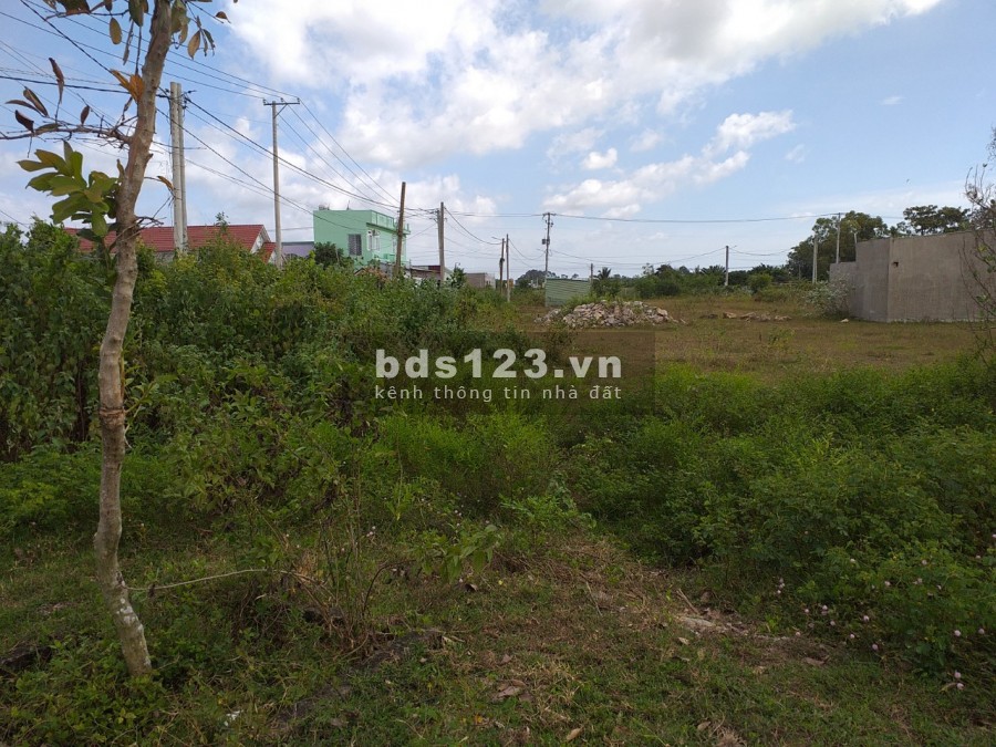 Đất Hương Lộ 2 191 m2 giá mềm ăn tết