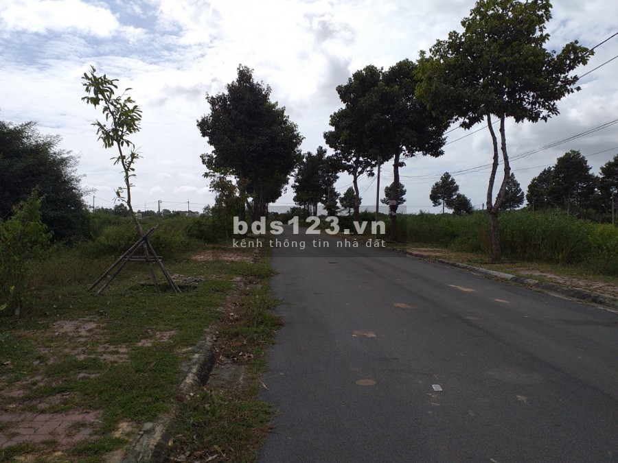 Đất Hương Lộ 2 191 m2 giá mềm ăn tết