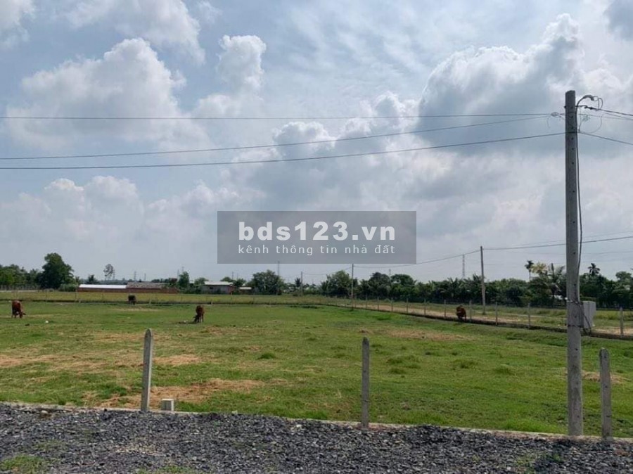 TÔI CẦN VỐN LÀM ĂN,CẦN BÁN GẤP 5 SÀO ĐẤT 5000M2,NGAY TT THỊ XÃ,GẦN TRƯỜNG,CHỢ.GIÁ 380TR