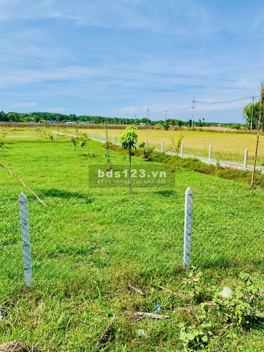 Bán đất vườn 500m2 mặt tiền đường nhựa 790tr