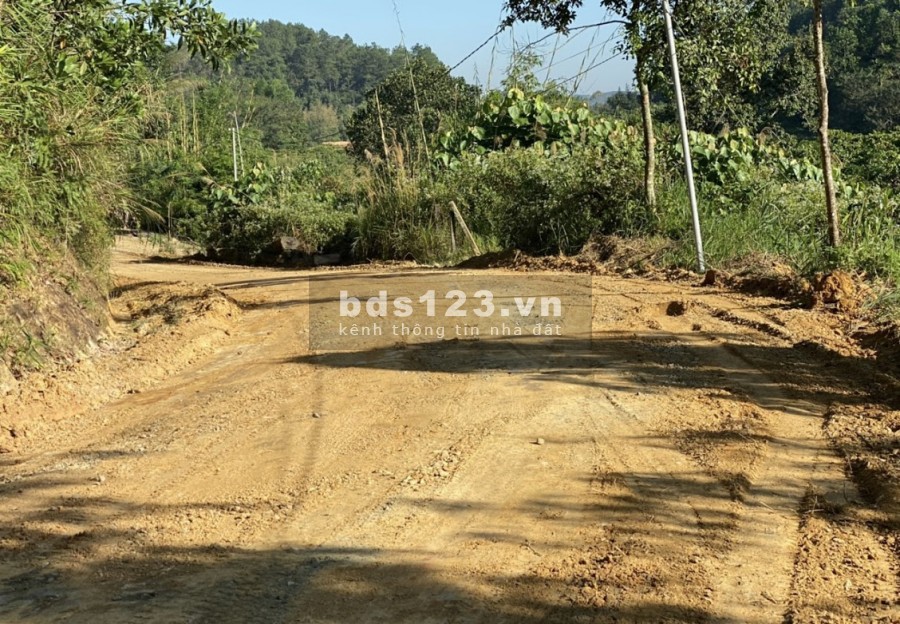 Cần bán 1 xào 1 tỷ đất đường nhựa hiện hữu xã Lộc Thành