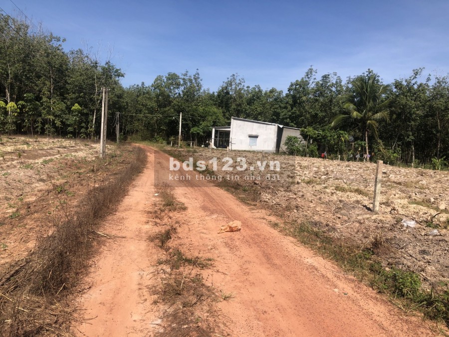 Đất vườn Minh Hoà Dầu Tiếng Bình Dương 1000m2