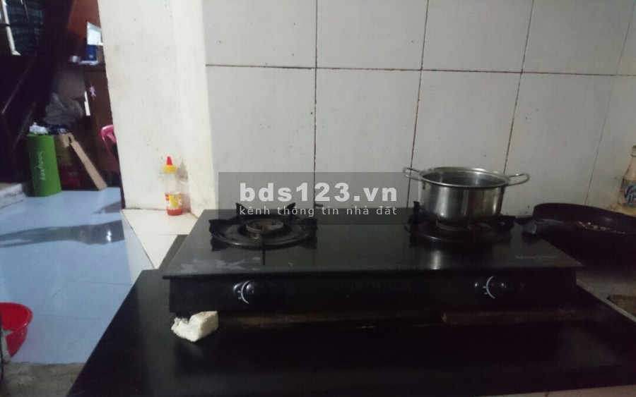 Cần nữ NVVP, nữ sinh viên ở ghép gấp