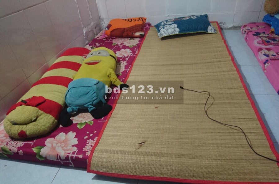 Cần nữ NVVP, nữ sinh viên ở ghép gấp