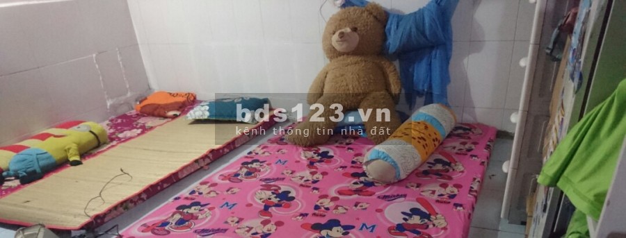 Cần nữ NVVP, nữ sinh viên ở ghép gấp