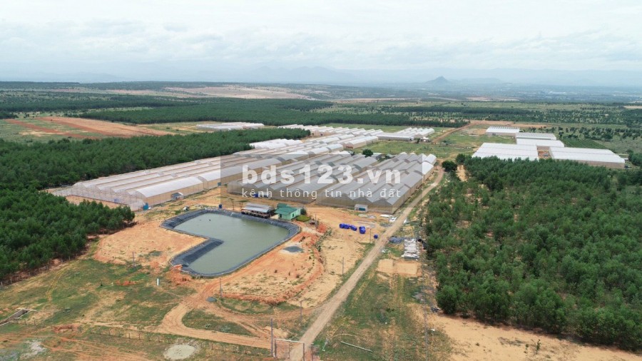 Tài Chính 500Tr Đầu Tư BĐS Ở Đâu Sinh Lời Nhanh