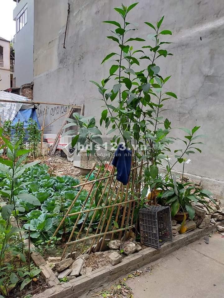 30m đất nhỏ xinh Ngô Gia Tự - Diêm Gỗ, ngõ thông tứ phía